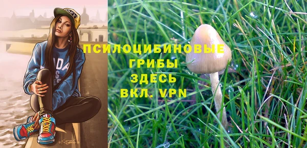 mix Алексин