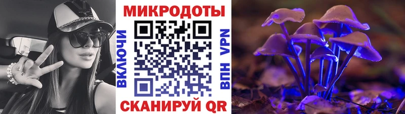 Галлюциногенные грибы мицелий  Наволоки 